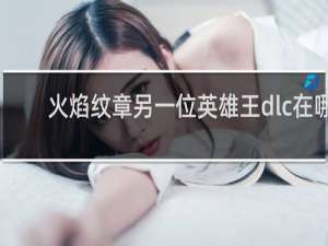 火焰纹章另一位英雄王dlc在哪