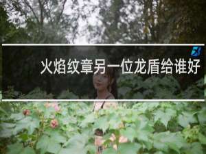 火焰纹章另一位龙盾给谁好