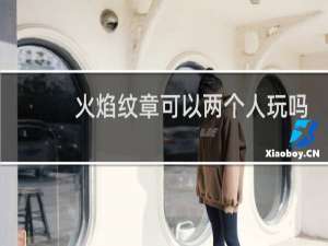 火焰纹章可以两个人玩吗
