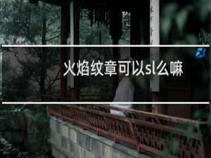 火焰纹章可以sl么嘛