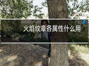 火焰纹章各属性什么用