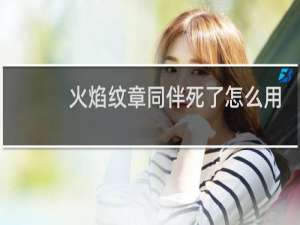 火焰纹章同伴死了怎么用