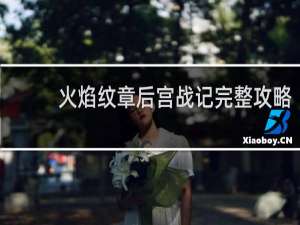 火焰纹章后宫战记完整攻略