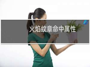 火焰纹章命中属性