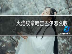 火焰纹章哈吉巴尔怎么收