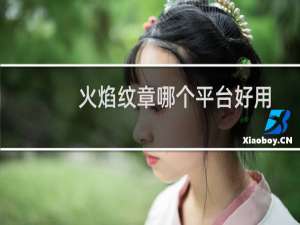 火焰纹章哪个平台好用