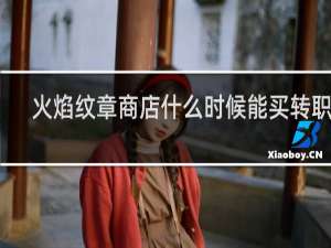 火焰纹章商店什么时候能买转职证