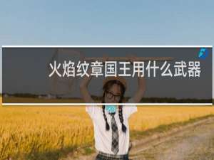 火焰纹章国王用什么武器