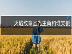 火焰纹章圣光主角和谁支援