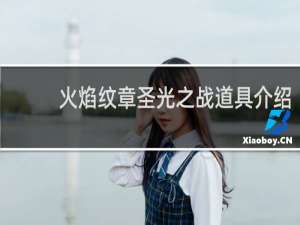 火焰纹章圣光之战道具介绍