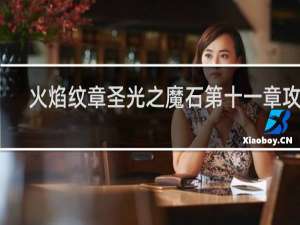 火焰纹章圣光之魔石第十一章攻略