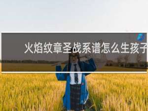 火焰纹章圣战系谱怎么生孩子