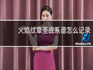 火焰纹章圣战系谱怎么记录