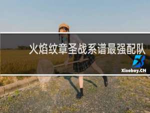 火焰纹章圣战系谱最强配队