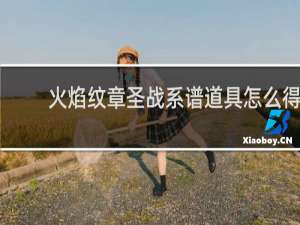 火焰纹章圣战系谱道具怎么得