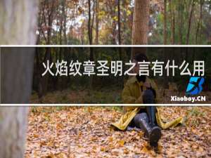 火焰纹章圣明之言有什么用