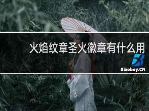 火焰纹章圣火徽章有什么用