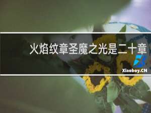 火焰纹章圣魔之光是二十章