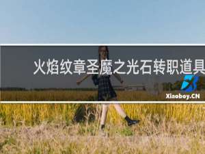 火焰纹章圣魔之光石转职道具