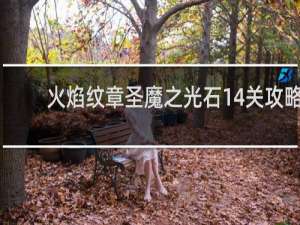 火焰纹章圣魔之光石14关攻略