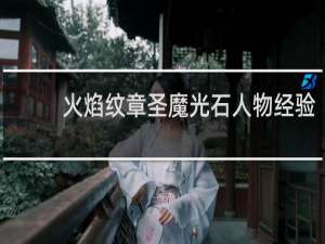 火焰纹章圣魔光石人物经验