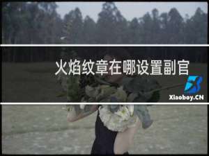 火焰纹章在哪设置副官