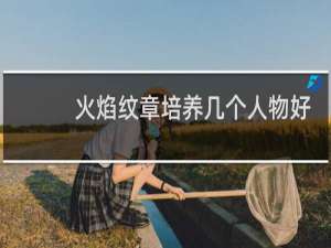 火焰纹章培养几个人物好