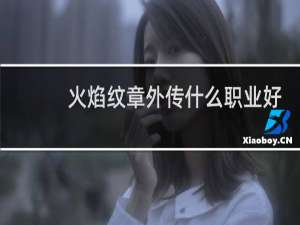 火焰纹章外传什么职业好