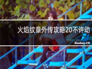 火焰纹章外传攻略 不许动