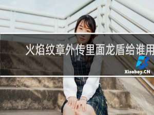 火焰纹章外传里面龙盾给谁用