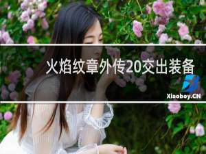 火焰纹章外传 交出装备