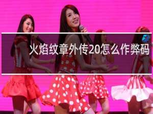 火焰纹章外传 怎么作弊码