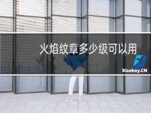 火焰纹章多少级可以用