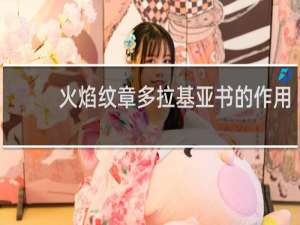 火焰纹章多拉基亚书的作用