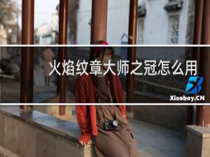 火焰纹章大师之冠怎么用
