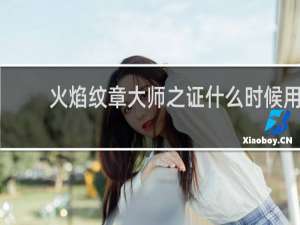 火焰纹章大师之证什么时候用