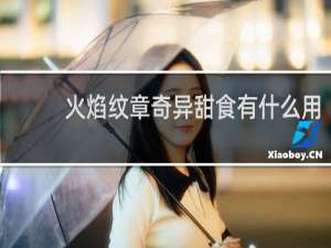 火焰纹章奇异甜食有什么用