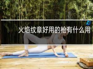 火焰纹章好用的枪有什么用