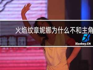 火焰纹章妮娜为什么不和主角