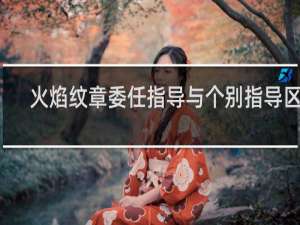 火焰纹章委任指导与个别指导区别