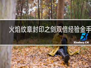 火焰纹章封印之剑双倍经验金手指
