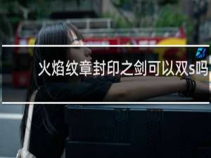 火焰纹章封印之剑可以双s吗