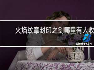 火焰纹章封印之剑哪里有人收