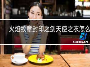 火焰纹章封印之剑天使之衣怎么用