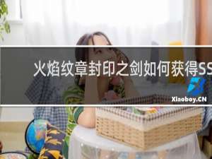 火焰纹章封印之剑如何获得SS