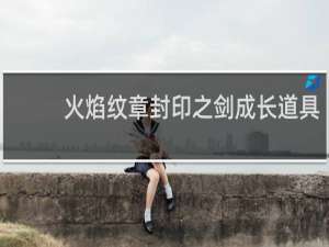 火焰纹章封印之剑成长道具