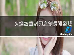 火焰纹章封印之剑最强盗贼