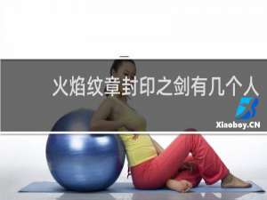 火焰纹章封印之剑有几个人