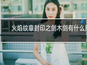 火焰纹章封印之剑木剑有什么用