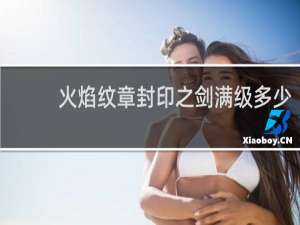 火焰纹章封印之剑满级多少